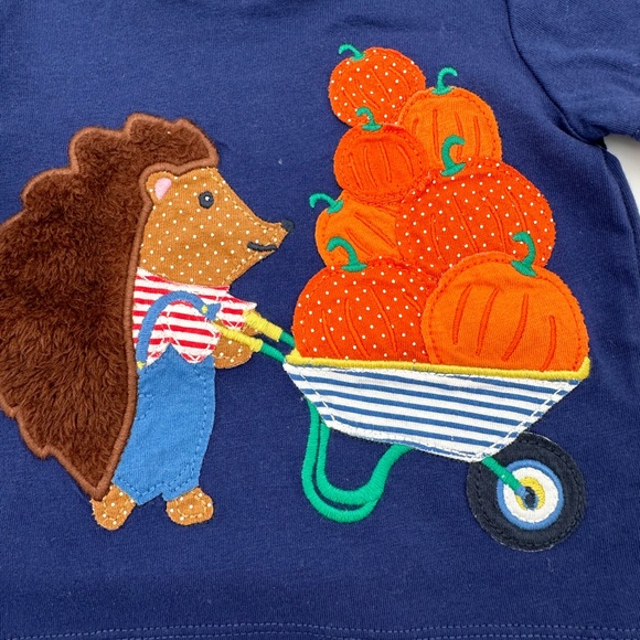 Baby Boden pumpkins/hedgehog top 
6-9 months - Picture 2 of 2